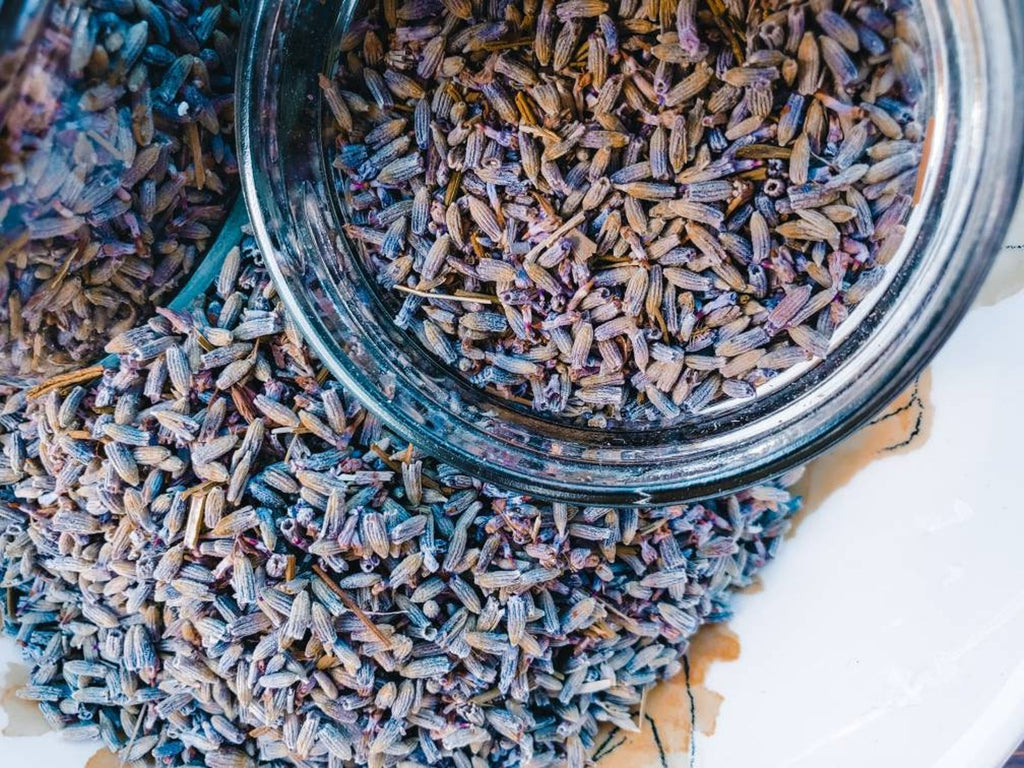 Fresh Lavender Buds